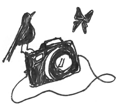 Faetalframe Galerie
